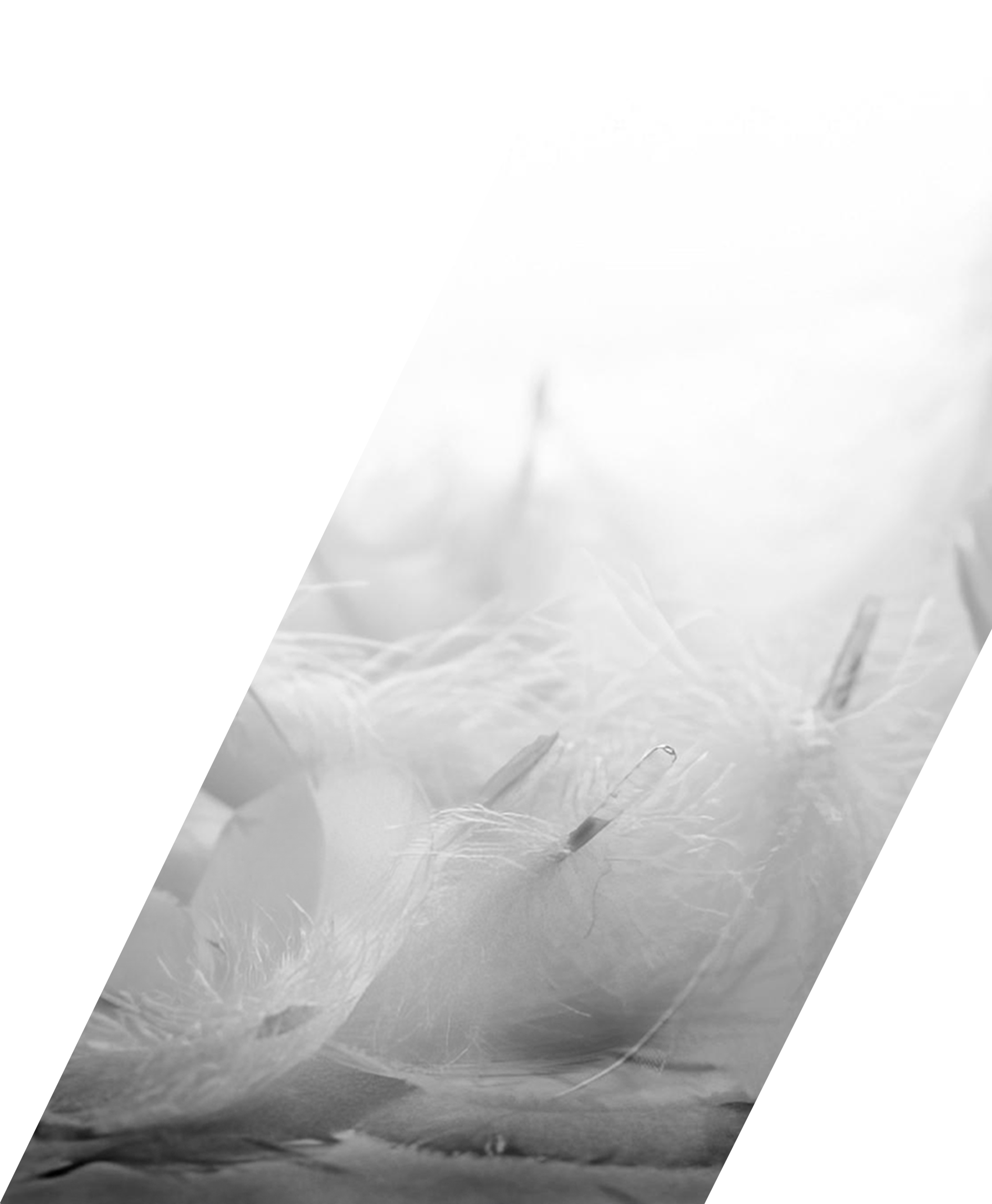 LION-HEAD GREY GOOSE DOWN