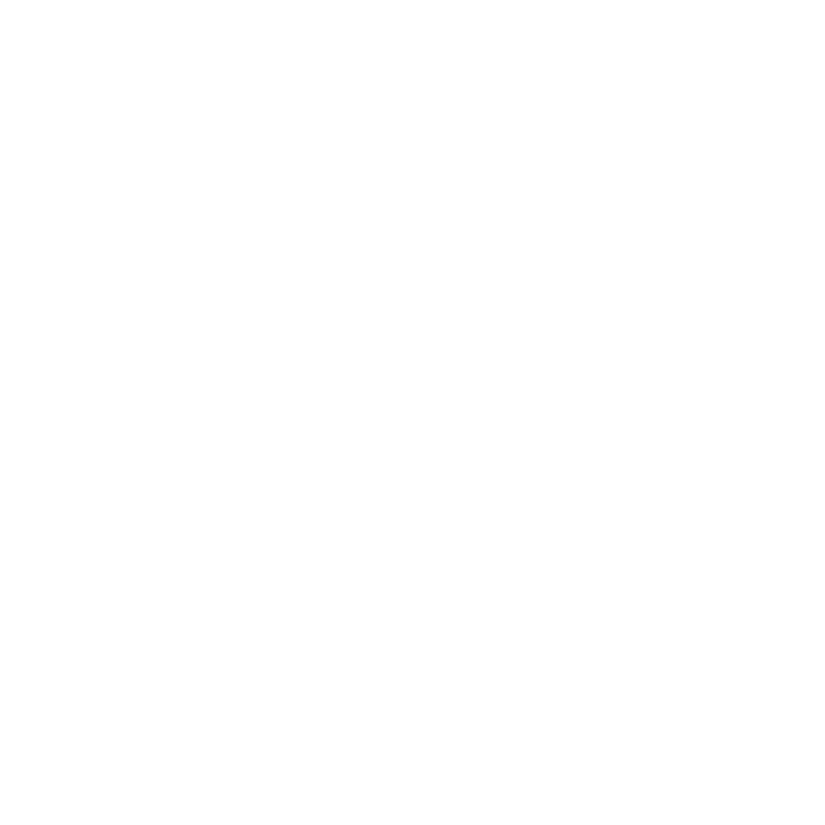 LION-HEAD GREY GOOSE DOWN