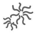 NON-WHITE COLOUR RATE|N/A